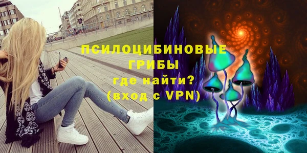 твердый Арсеньев
