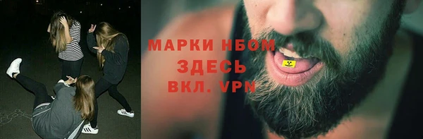 твердый Арсеньев