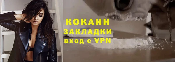 твердый Арсеньев