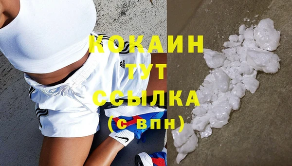 твердый Арсеньев