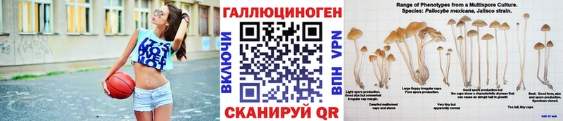 omg ссылки Арсеньев Галлюциногенные грибы мухоморы